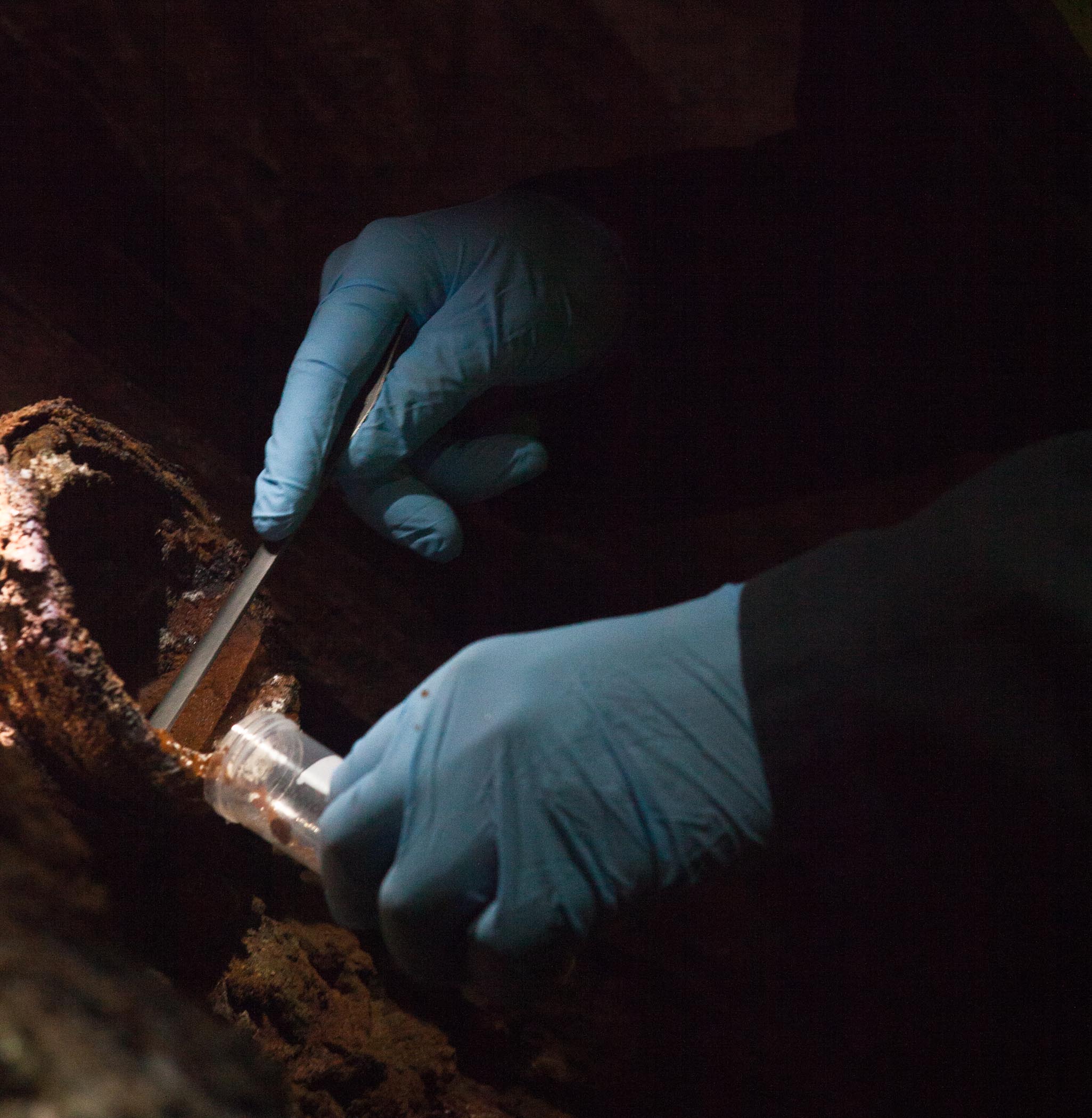 Researcher gathers sample from the 4850 Level.