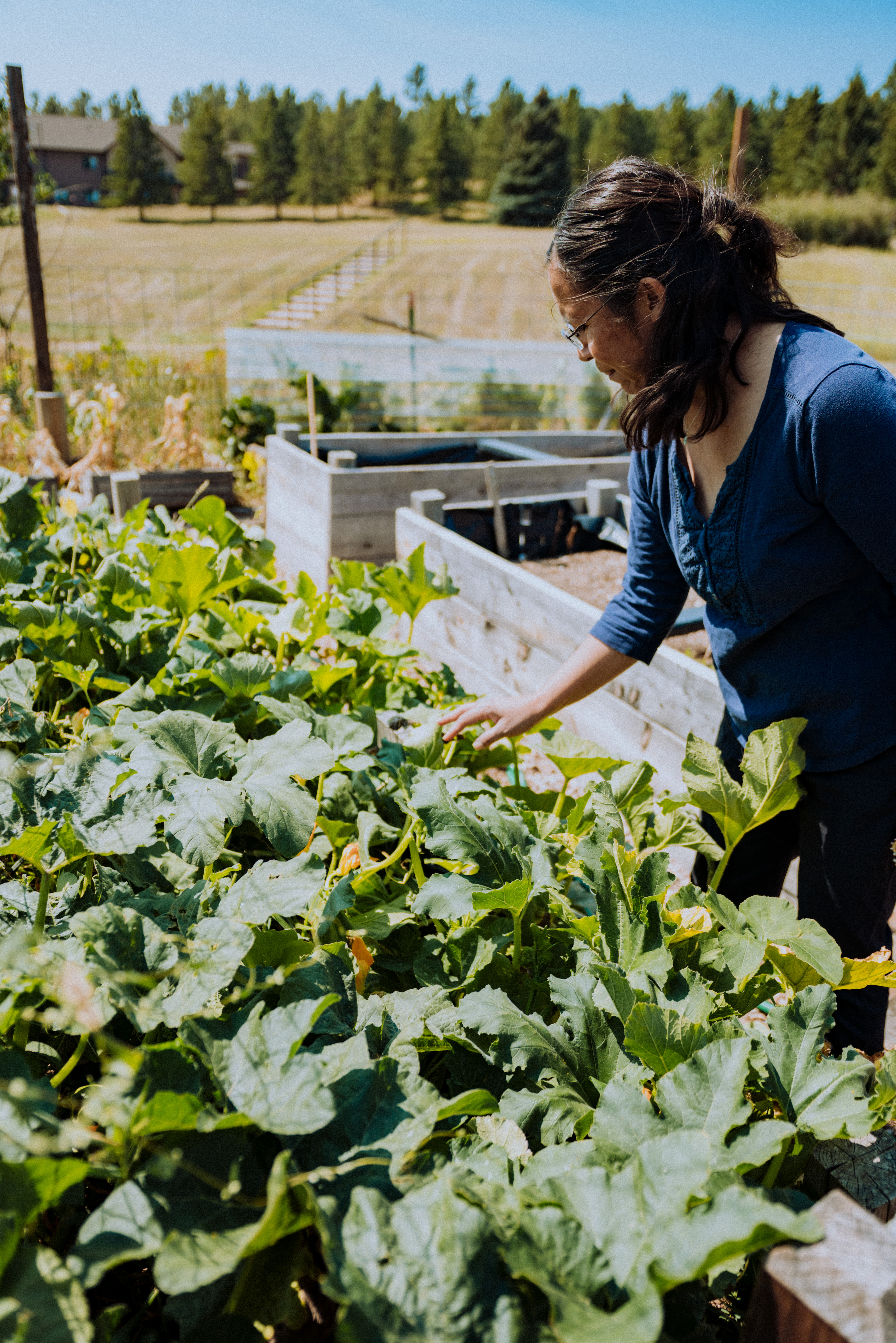 a person looks down at a gardenbed with lots of leaves