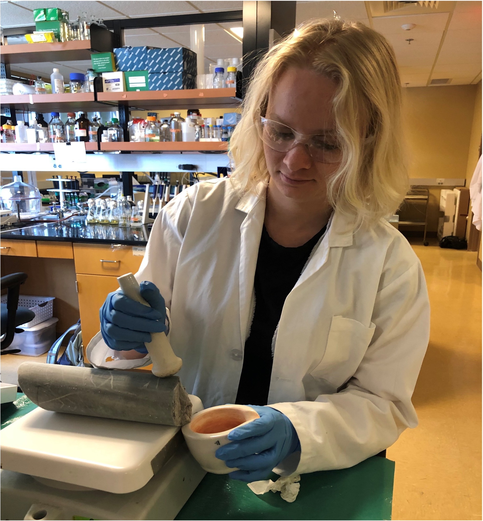 a researcher works with a core sample in a lab