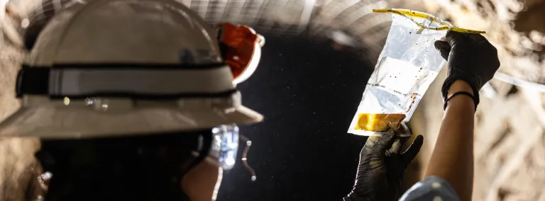 Dr. Tanvi Govil examines a biology sample taken 1700 feet underground at SURF.  