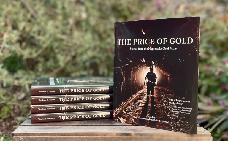The cover of the book the Price of Gold showing a miner underground backlit inside a draft.  