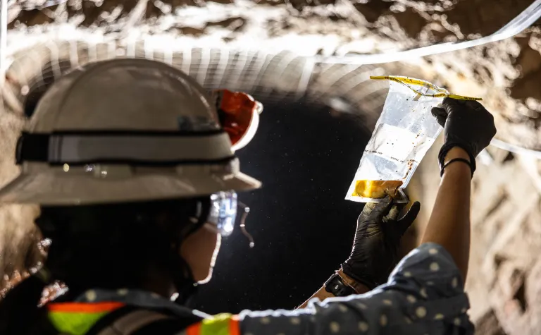 Dr. Tanvi Govil examines a biology sample taken 1700 feet underground at SURF.  