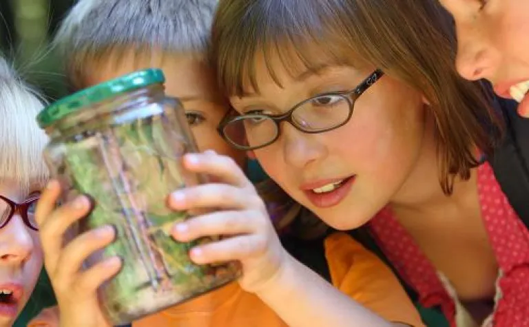 Kids look at insects in a jar