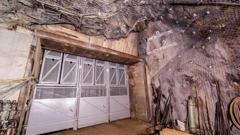 2000 level cage doors