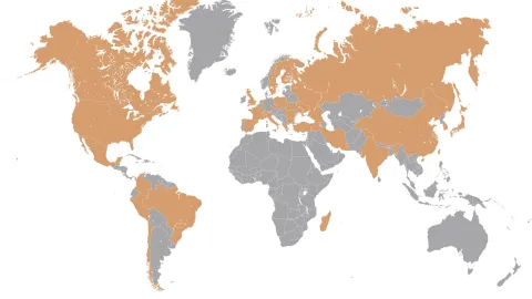 map of the world
