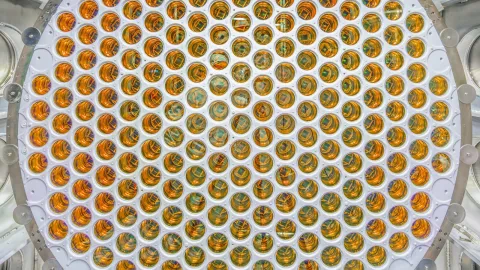 The LZ PMT arrays look like a glass honeycomb