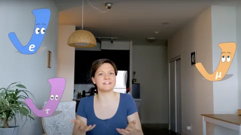 lady on a zoom call with animated neutrinos