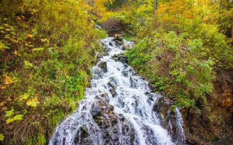 Clean water in our creeks and streams because of the SURF Wastewater Treatment Plant.