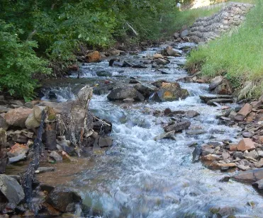 God run creek cascades clear water over rocks with green grass below the SURF discharge. 