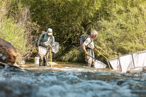 Two people fishing with electrodes