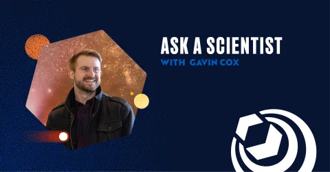 gavin cox