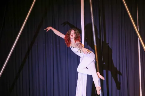 Aerialist