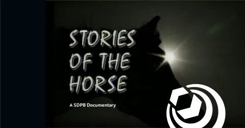 Stories of the Horse