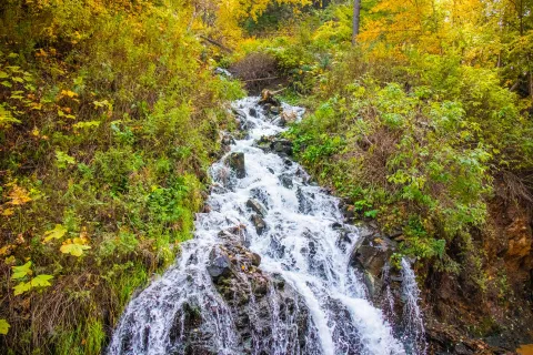 Water cascades downhill from SURF's WWTP discharge to Gold Run Creek.  