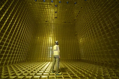 A man stands inside a protoDUNE detector