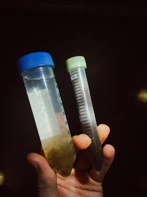 a hand holds two laboratory test tubes 