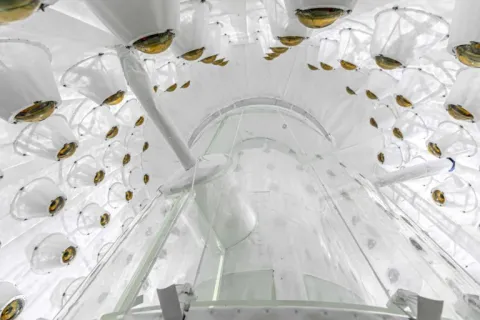 Looking up into the LZ Outer Detector, used to veto radioactivity that can mimic a dark matter signal.