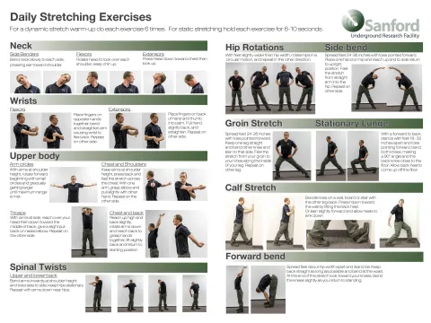 •	Frequent stretching is key, and there are certain stretches that specifically target desk-tired muscles. 