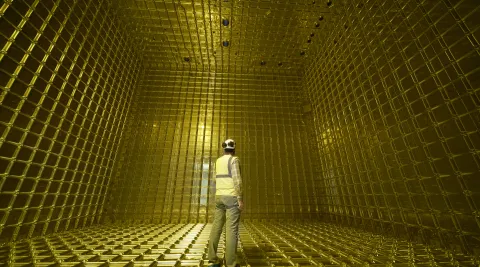 A man stands inside a protoDUNE detector