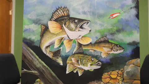 A painting of fish completed by Dan James