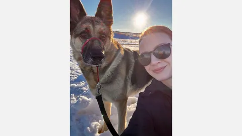 dog walk