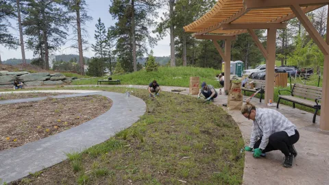 Planting in the flower beds at Čhaŋgléška Wakȟáŋ. 