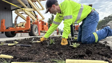 Planting in the flower bed at the Sanford Lab Homestake Visitor Center.