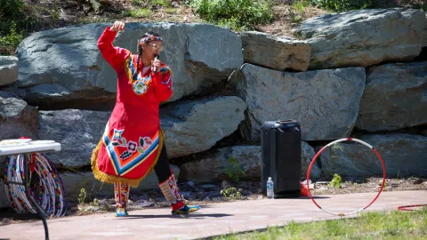 Star Chief eagle 