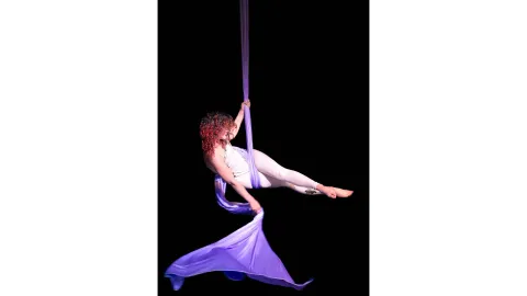 Aerialist