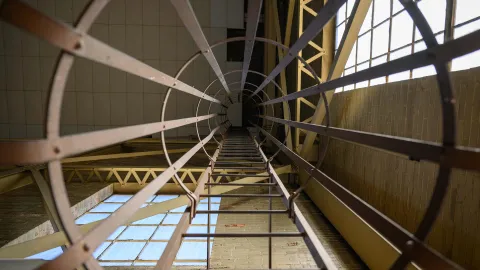 ladder
