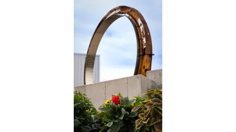 Davis ring