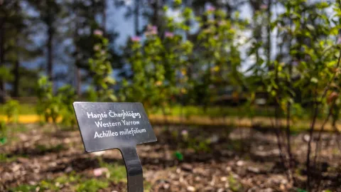 a display sign with flower names in lakota and english