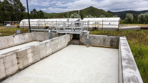 The MBBR pool operating at SURF's WWTP