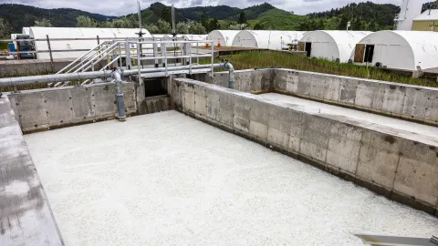 The MBBR pool operating at SURF's WWTP